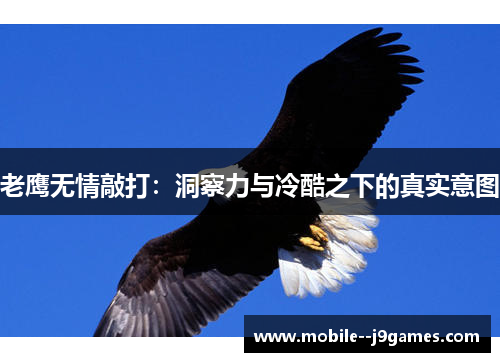 老鹰无情敲打:洞察力与冷酷之下的真实意图 老鹰无情敲打:洞察力与冷酷之下的真实意图