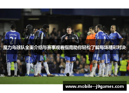 魔力鸟球队全面介绍与赛事观看指南助你轻松了解每场精彩对决